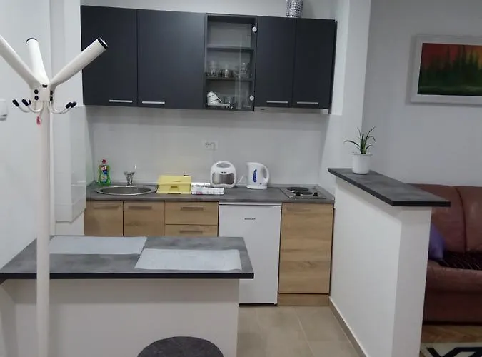 Ana Σουμπότικα