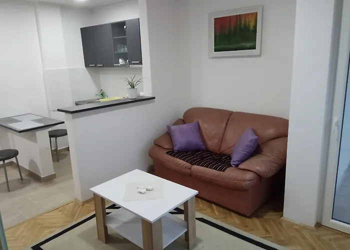 Ana Σουμπότικα